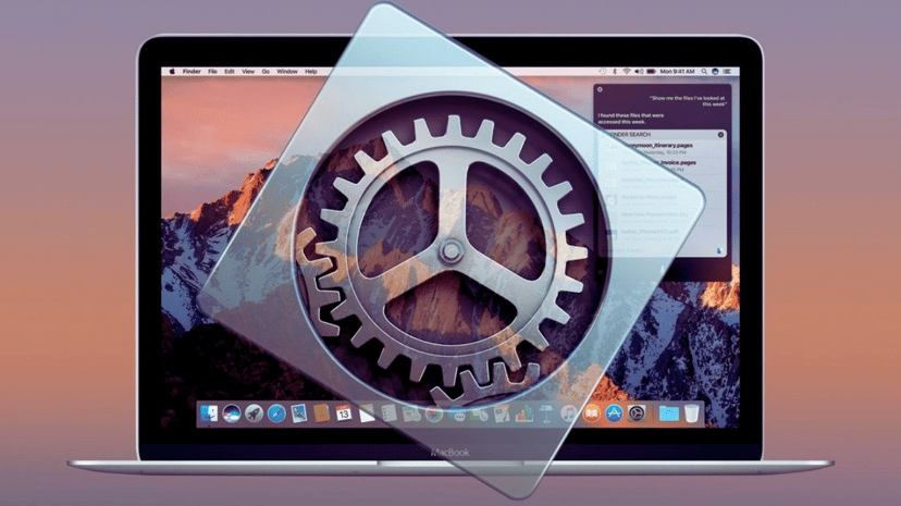 Apple Mac: Learning About System Preferences