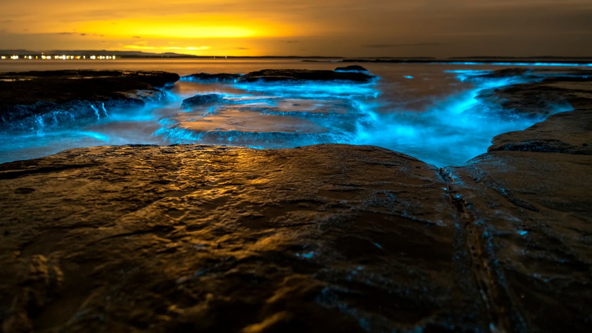 Let s Explore Glow In The Dark Places let-s-explore-glow-in-the-dark-places