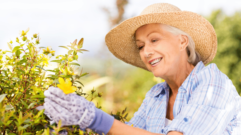 Gardening as We Age