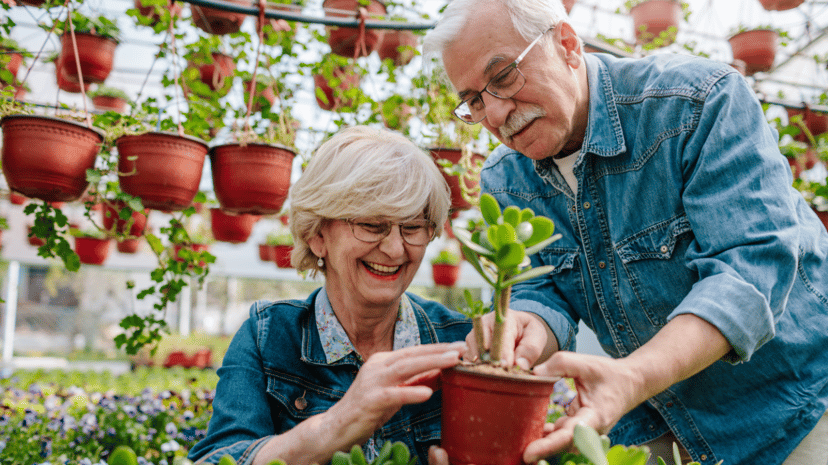 Finding Meaning for Your Life  through Gardening
