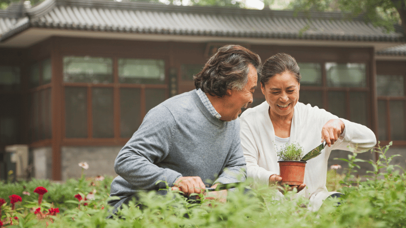 How to Create a Low Maintenance Garden