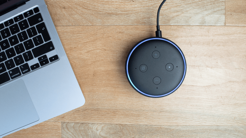 Use Alexa to Stay Safe at Home (20-min class)
