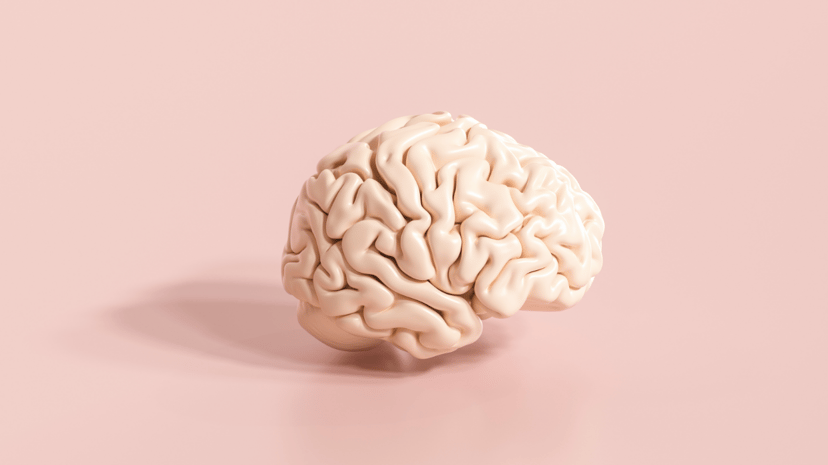 10 Myths About Your Brain