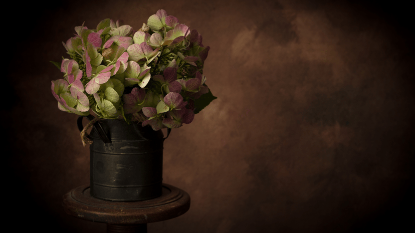 Exploring Color: Painting Still Life with Shades of Red