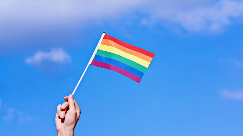 Understanding LGBTQ+ Identities  (20-min class)