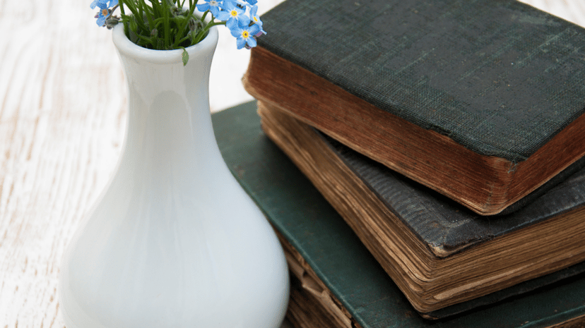 A New Use for an Old Book: A Vase